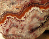 Red Crazy Lace Agate Cabochon 81 carats - radiantrocksct
