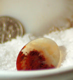 Carey Plume Agate Oval Cabochon 24.5 carats - radiantrocksct