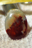 Carey Plume Agate Oval Cabochon 24.5 carats - radiantrocksct