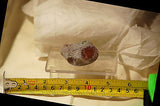 Botswana banded agate 2.0 oz lapidary nodule - cabochon material! - radiantrocksct
