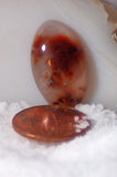 Carey Plume Agate Oval Cabochon 10.5 carats - radiantrocksct