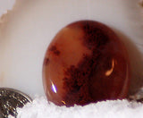 Carey Plume Agate Oval Cabochon 25 carats - radiantrocksct