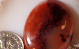 Carey Plume Agate Oval Cabochon 25 carats - radiantrocksct