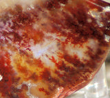 Carey Plume Agate Freeform Cabochon 167 carats - radiantrocksct