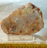Graveyard Point Plume Agate16.4oz (465 grams) lapidary slab Regency Rose. - radiantrocksct