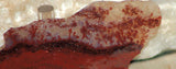 Carey Plume Agate 0.8 oz Lapidary  slab - radiantrocksct