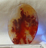 Carey Plume Agate Oval Cabochon 70 carats - radiantrocksct