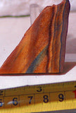 Gold Tiger's Eye 0.8 oz lapidary cabochon heel slab - radiantrocksct