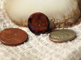 Koroit Boulder Opal Round Cabochon green Fire - radiantrocksct