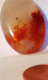 Carey Plume Agate Oval Cabochon 30 carats - radiantrocksct