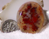 Stunning Carey Plume Agate Oval Cabochon 32.5 carats - radiantrocksct