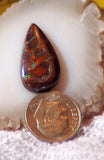 Koroit Boulder Opal freeform oval Cabochon green Fire - radiantrocksct