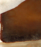 Bruneau Jasper Lapidary Cabochon slab 0.6 oz olive colored - radiantrocksct