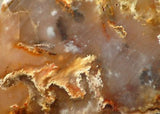 Graveyard Point Plume Agate16.4oz (465 grams) lapidary slab Regency Rose. - radiantrocksct