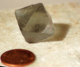 Pale Green fluorite octohedron 12.5 grams 3/4" /side  - great shape! - radiantrocksct