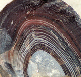 Botswana banded agate 4.4 oz lapidary nodule - great banding! - radiantrocksct