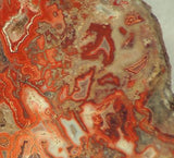 Red Crazy Lace agate Lapidary Slab 5.2oz Great colors /patterns (147 grams) - radiantrocksct