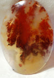 Carey Plume Agate Oval Cabochon 70 carats - radiantrocksct