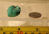 Kingman AZ stabilized Turquoise rough 7.0 grams lapidary cabochon material - radiantrocksct