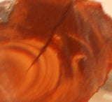 Bruneau Jasper Lapidary Cabochon heel Slab 0.8 oz - radiantrocksct