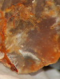 Graveyard Point Plume Agate16.4oz (465 grams) lapidary slab Regency Rose. - radiantrocksct
