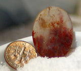 Carey Plume Agate Oval Cabochon 21.5 carats - radiantrocksct