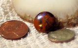 Koroit Boulder Opal Round Cabochon green Fire - radiantrocksct