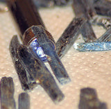 Blue Zimbabwe Kyanite crystals 1 lb 4.4 oz lapidary rough (578 grams) - radiantrocksct