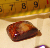 Namibian Red/Blue/Gold Pietersite polished tumble 11 small pieces rough - radiantrocksct