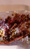 Carey Plume Agate Freeform Cabochon 167 carats - radiantrocksct