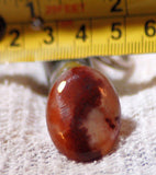 Carey Plume Agate Oval Cabochon 25 carats - radiantrocksct