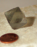 Pale Green fluorite octohedron 12.5 grams 3/4" /side  - great shape! - radiantrocksct