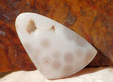 Ocean Jasper Freeform Cabochon 76 carats great patterns White beauty - radiantrocksct