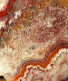 Red Crazy Lace Agate Cabochon 81 carats - radiantrocksct