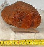 Amazon Valley Jasper lapidary rough brown tan mystery 5 lbs - radiantrocksct