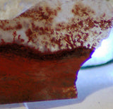 Carey Plume Agate 0.8 oz Lapidary  slab - radiantrocksct