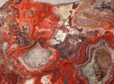 Red Crazy Lace agate Lapidary Slab 5.2oz Great colors /patterns (147 grams) - radiantrocksct