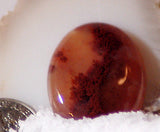 Carey Plume Agate Oval Cabochon 25 carats - radiantrocksct