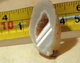 Brazilian Agate 0.4 oz lapidary slab - cabochon or wire wrap- (11 grams) - radiantrocksct