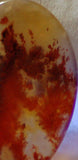 Carey Plume Agate Oval Cabochon 70 carats - radiantrocksct