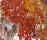 Morocco Jasper Agate 12.2 ounces lapidary slab - radiantrocksct