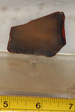 Bruneau Jasper Lapidary Cabochon slab 0.6 oz olive colored - radiantrocksct