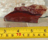 Carey Plume Agate 0.8 oz Lapidary  slab - radiantrocksct