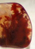 Carey Plume Agate pendant freeform 52 carats - radiantrocksct