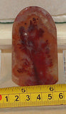 Carey Plume Agate polished one side Lapidary collection slab - radiantrocksct