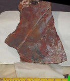 Moroccan Jasper Agate 3.2lb  lapidary slab  (1463 grams) - radiantrocksct