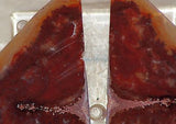 Carey Plume Agate  Lapidary Display collection Butterfly'd slab pair - radiantrocksct