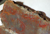 Moroccan Jasper Agate 2.5lb  lapidary slab  (1162 grams) - radiantrocksct