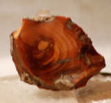 Bruneau Jasper Lapidary Cabochon heel Slab 0.8 oz - radiantrocksct