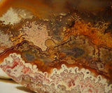 Red Crazy Lace Agate Cabochon 170.5 carats - radiantrocksct